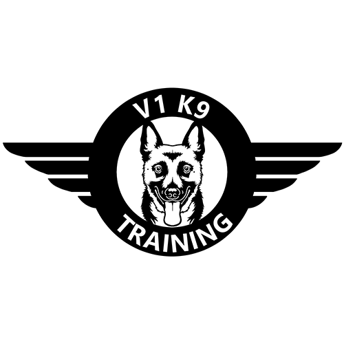 V1K9 Training